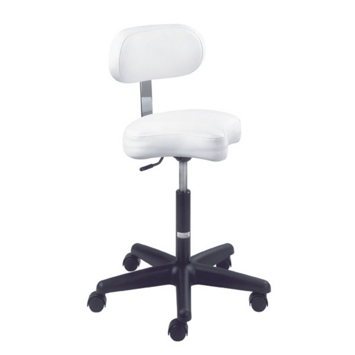 Equipro Ergonomic Air-lift Stool with Backrest Full View