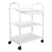 Equipro TM-3A Trolley Full View