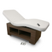 Silhouet-Tone Nevada Premium Electric Treatment Table Full View