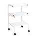 Silhouet-Tone T-3 Auxiliary Table (Electical Outlet & Drawer) 110V