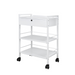 Silverfox 1019A 1 Drawer Beauty Trolley Full View