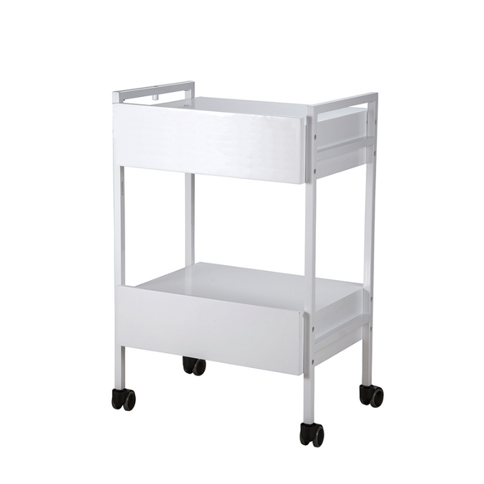 Silverfox 1019 2 Drawer Beauty Trolley Back View