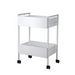 Silverfox 1019 2 Drawer Beauty Trolley Back View