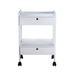 Silverfox 1019 2 Drawer Beauty Trolley Front View