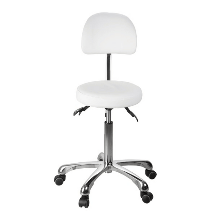 Silverfox 1025B Stool with Backrest White Front