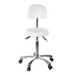 Silverfox 1025B Stool with Backrest White Front