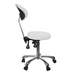 Silverfox 1025B Stool with Backrest Right