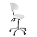 Silverfox 1025B Stool with Backrest Full View