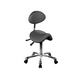 Silverfox 1025 Stool with Backrest Grey Full View