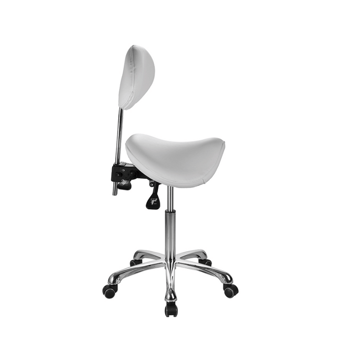 Silverfox 1025 Stool with Backrest Side View
