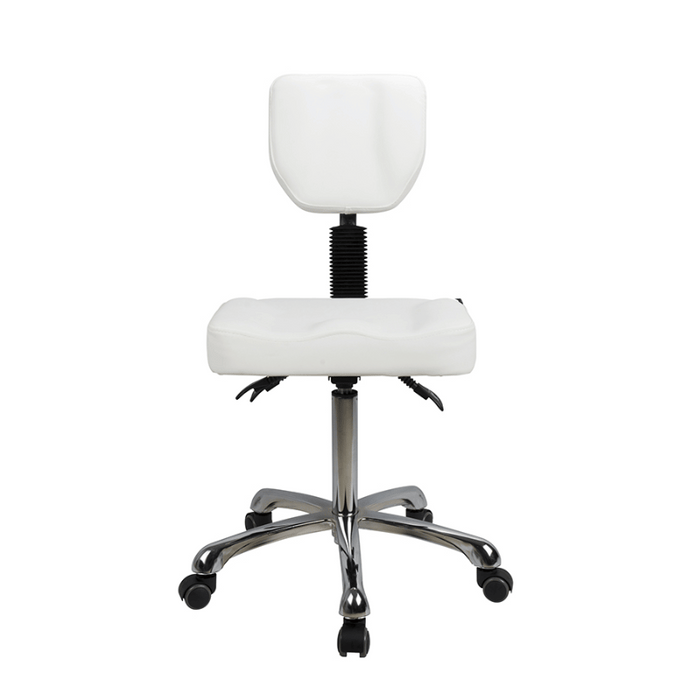 Silverfox 1030 Stool with Backrest Front