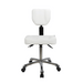 Silverfox 1030 Stool with Backrest Front