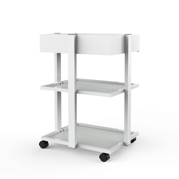 Silverfox 1040A 1 Drawer Beauty Trolley Back