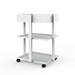 Silverfox 1040A 1 Drawer Beauty Trolley Back