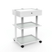 Silverfox 1040A 1 Drawer Beauty Trolley Full View